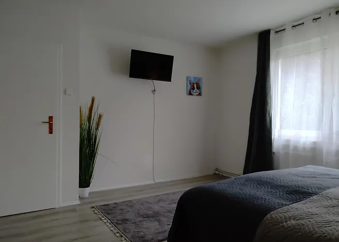 Komfortables Und Ruhiges Appartement Gelsenkirchen